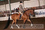09yn-12591 thumbnail
