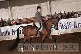 09yn-12592 thumbnail