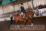09yn-12593 thumbnail