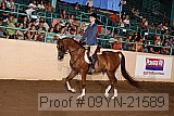 09yn-21589 thumbnail