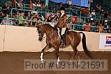 09yn-21591 thumbnail