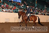 09yn-21592 thumbnail