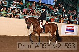 09yn-21593 thumbnail