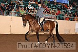 09yn-21594 thumbnail