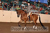 09yn-21595 thumbnail