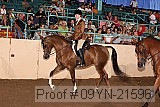 09yn-21596 thumbnail