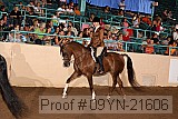 09yn-21606 thumbnail