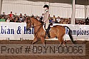09yn-00066 thumbnail
