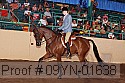 09yn-01638 thumbnail