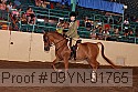 09yn-01765 thumbnail