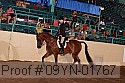 09yn-01767 thumbnail