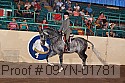 09yn-01781 thumbnail