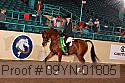 09yn-01805 thumbnail