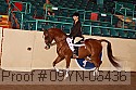 09yn-06436 thumbnail