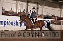 09yn-04100 thumbnail