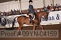 09yn-04159 thumbnail