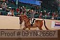 09yn-06567 thumbnail