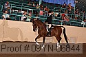 09yn-06844 thumbnail