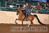 09yn-18194 thumbnail