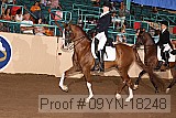 09yn-18248 thumbnail