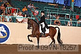 09yn-18257 thumbnail