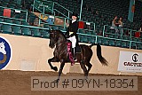 09yn-18354 thumbnail