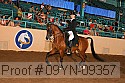 09yn-09357 thumbnail
