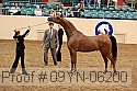 09yn-06200 thumbnail