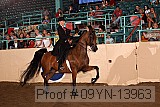 09yn-13963 thumbnail