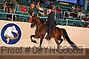 09yn-08669 thumbnail