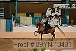 09yn-10481 thumbnail