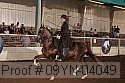 09yn-04049 thumbnail