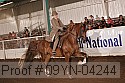 09yn-04244 thumbnail