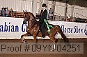 09yn-04251 thumbnail