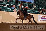 09yn-11468 thumbnail
