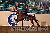 09yn-11529 thumbnail