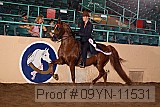 09yn-11531 thumbnail