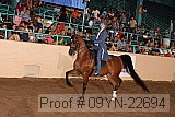 09yn-22694 thumbnail