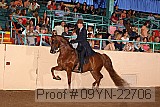 09yn-22706 thumbnail