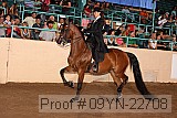 09yn-22708 thumbnail