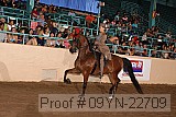 09yn-22709 thumbnail