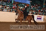 09yn-22713 thumbnail