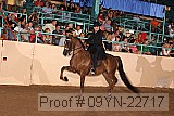 09yn-22717 thumbnail