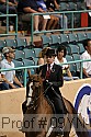 09yn-07643 thumbnail