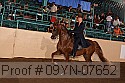 09yn-07652 thumbnail