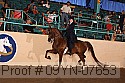 09yn-07653 thumbnail