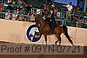 09yn-07721 thumbnail