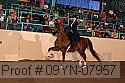 09yn-07957 thumbnail