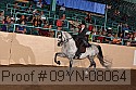 09yn-08064 thumbnail