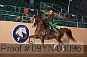 09yn-08096 thumbnail